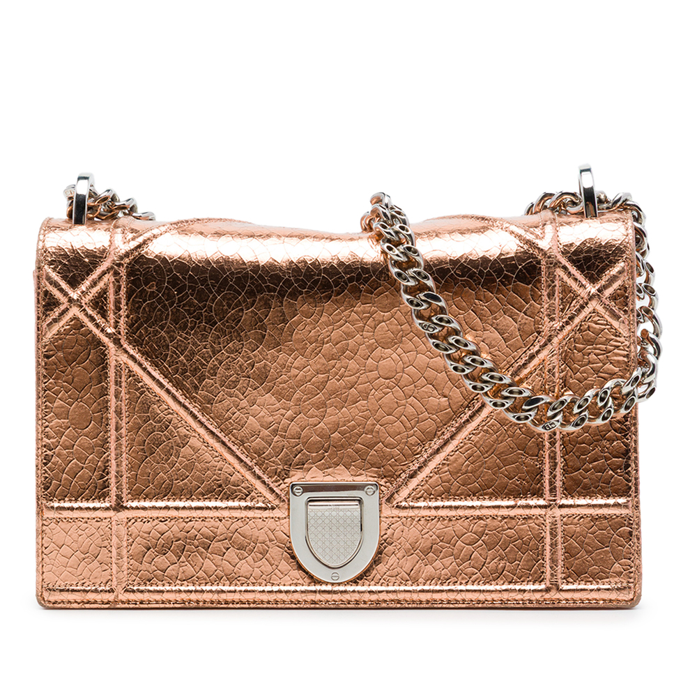 Pre-Loved Dior Metallic Ceramic Effect Deerskin Diorama Wallet on Chain
